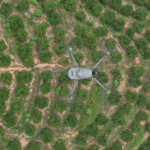 DJI Mavic 3M Multispectral - Image 9